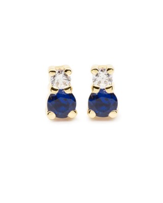 61A4031Z Pendientes Eles...