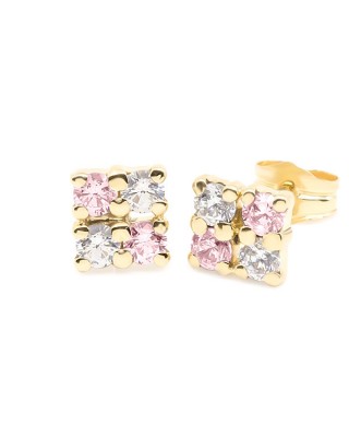 61A4081R Pendientes Eles...