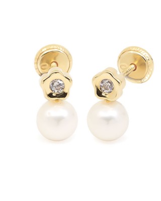 67A7642 - Pendientes Eles...